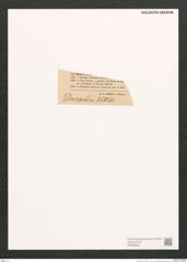 Navicula sp. (de-Toni-Nr.: Genus 1) Zeichnungen Sammlung Grunow (NHMW-BOT-W0368266)